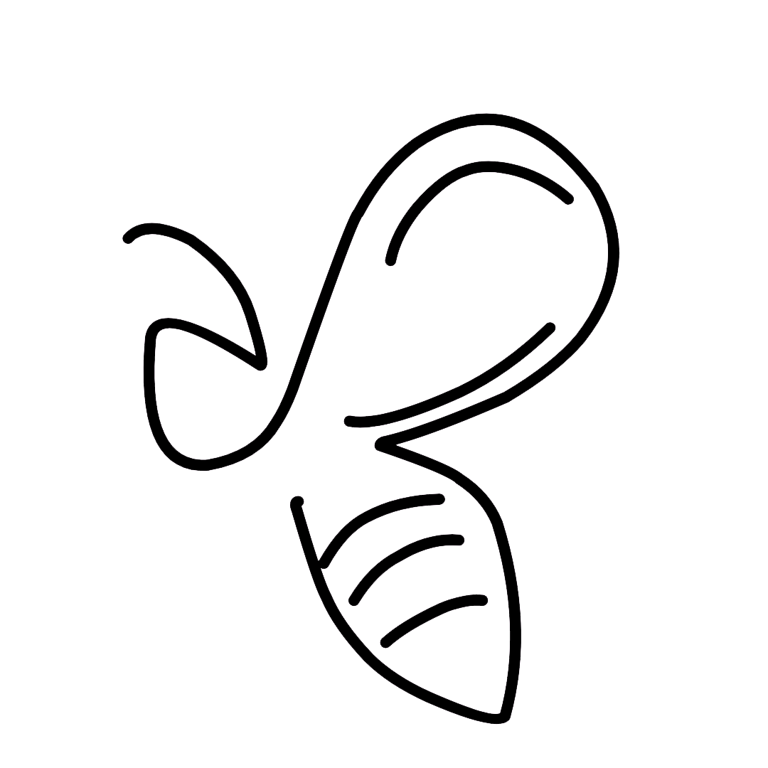 Logo Observatoire des bourdons